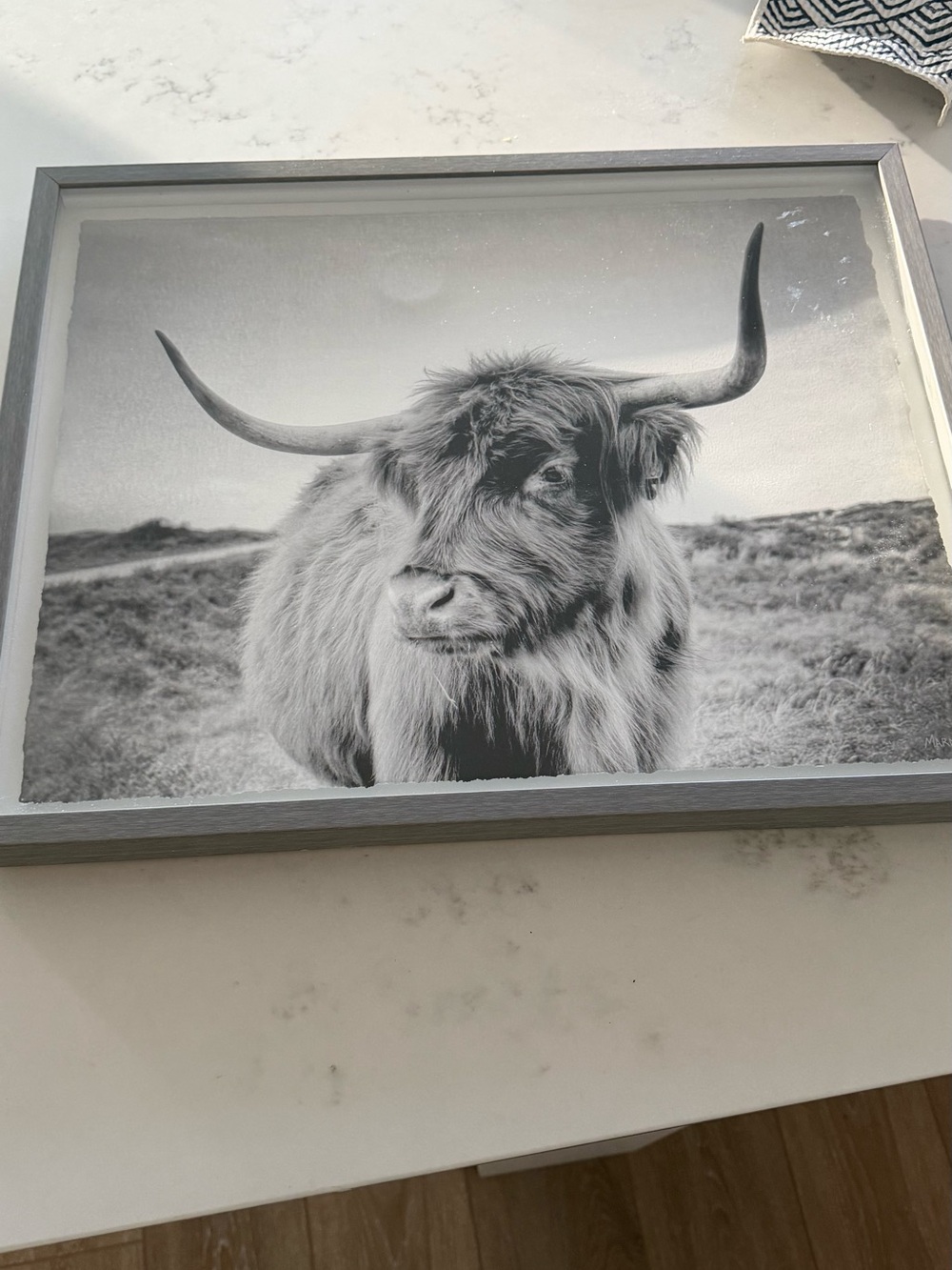 Framed Highland Cow Black & White Wall Art